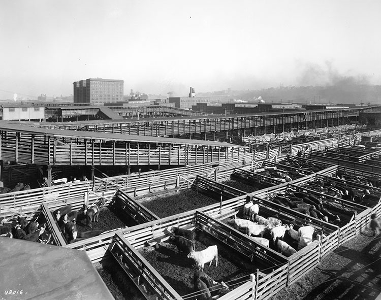 Livestock pens in the West Bottoms.