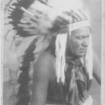 Wild Horse, Comanche Chief